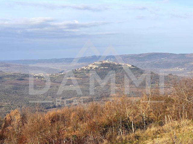 Land for sale 3059 m² – Motovun
