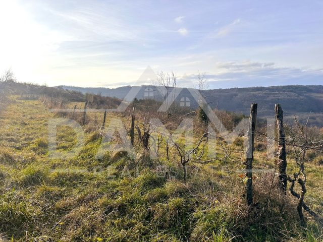 Grundstück Zu verkaufen - Istarska Motovun - foto 3/3