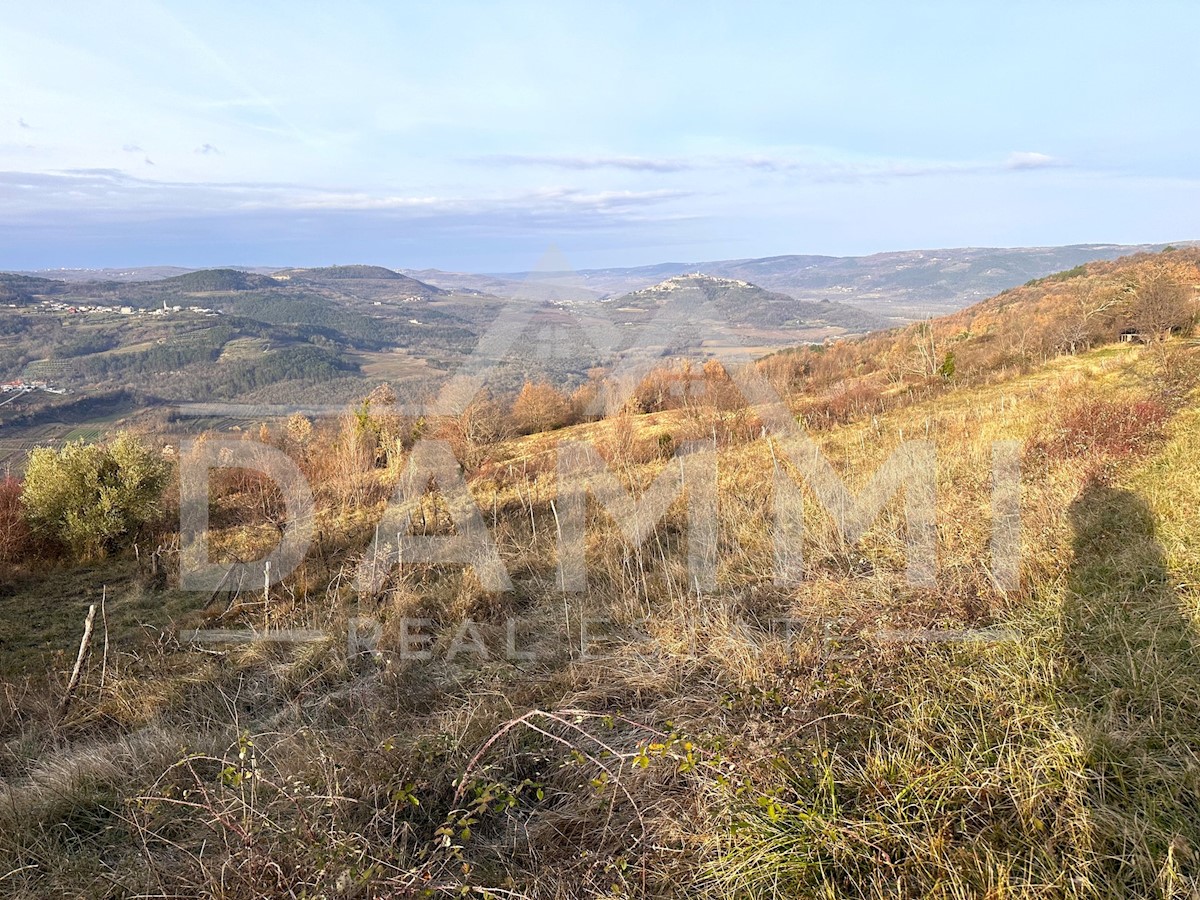 Terreno In vendita - Istarska Motovun - foto 2/2