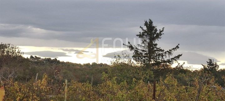 Grundstück zu verkaufen 1597 m² – Pula