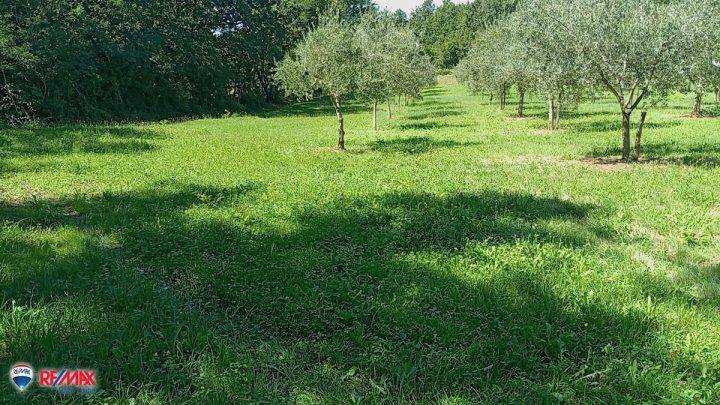 Land for sale 9237 m² – Barban
