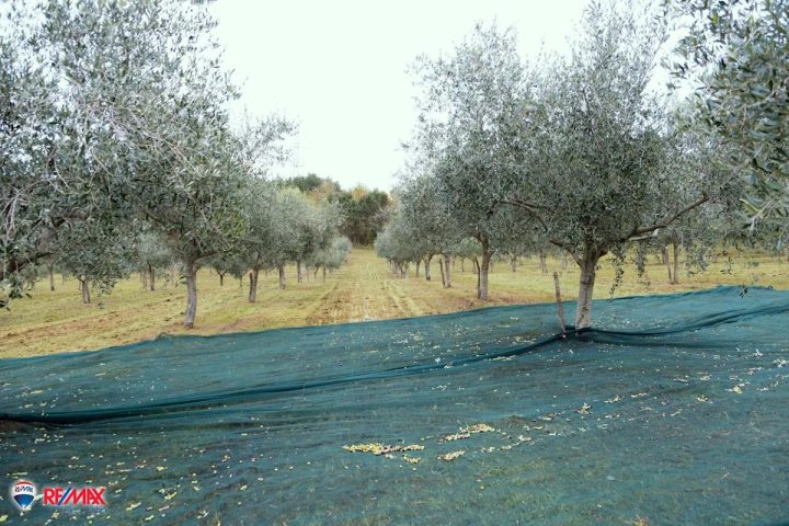 Parcela Naprodaj - Istarska Barban - foto 4/4