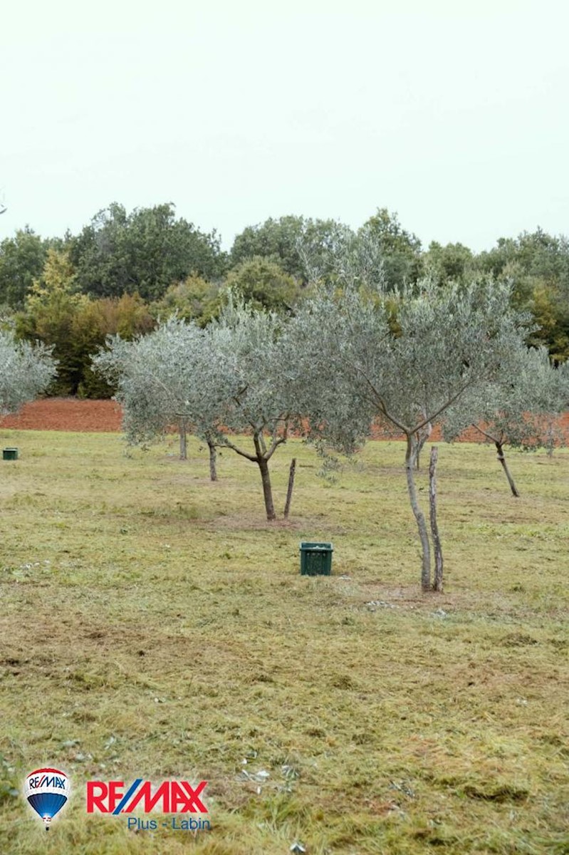 Terrain À vendre - Istarska Barban - foto 2/3
