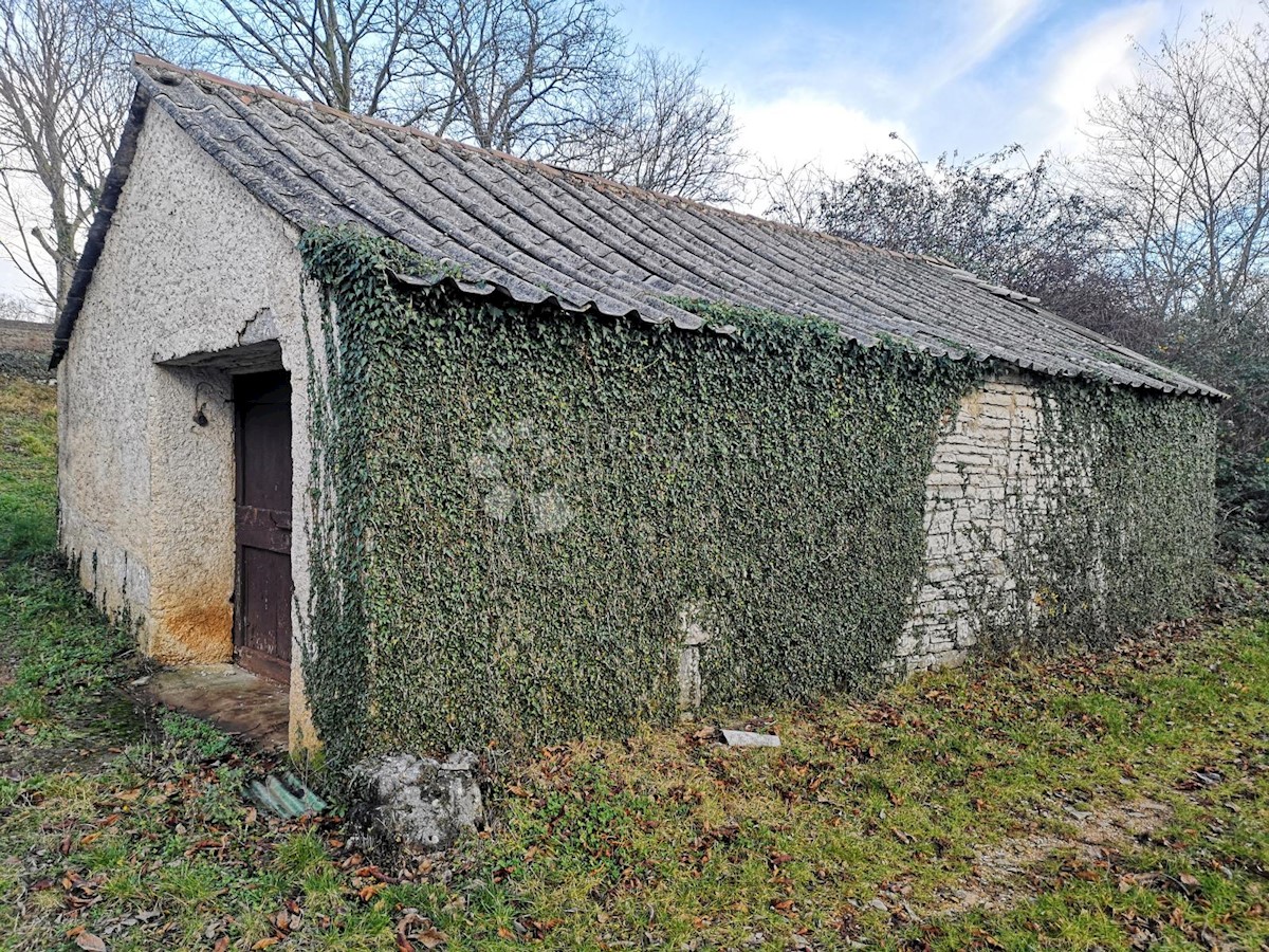 Dům Na prodej - ISTARSKA PAZIN