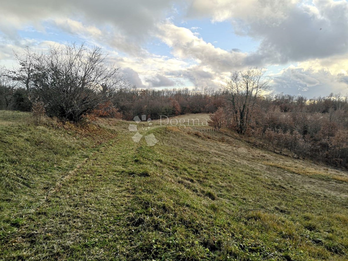 Dům Na prodej - ISTARSKA PAZIN