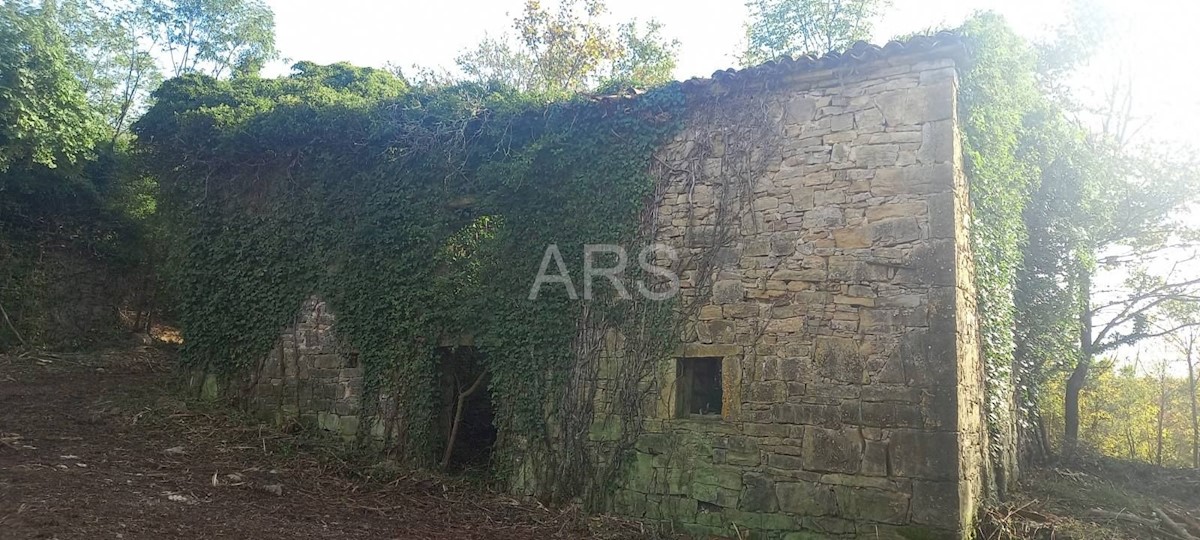 Haus Zu verkaufen - ISTARSKA KRŠAN