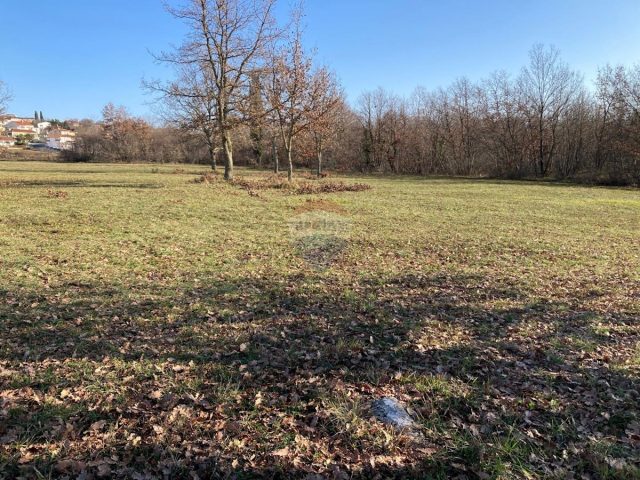 Land for sale 19665 m² – Mušalež