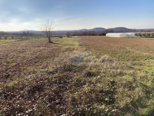 Terreno in vendita 7670 m² – Kadumi