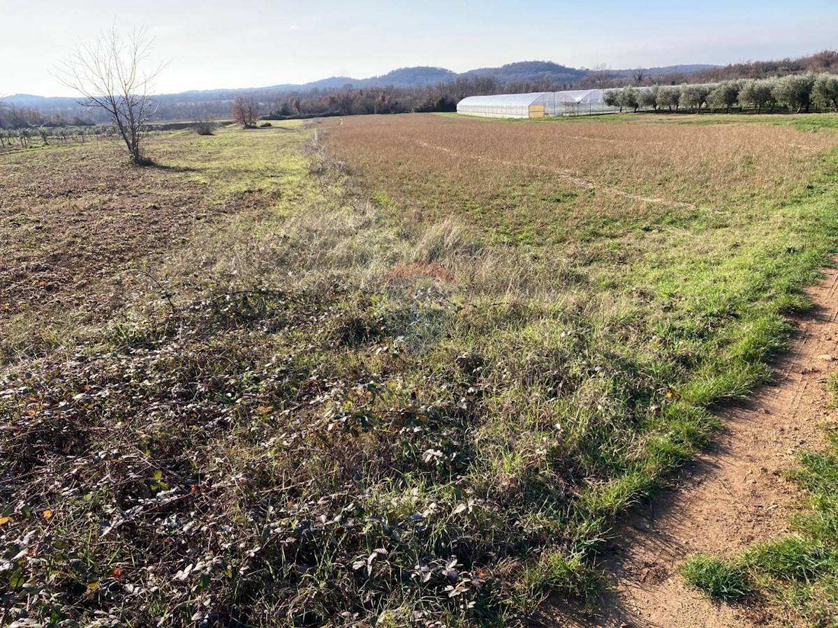 Terreno In vendita - ISTARSKA POREČ