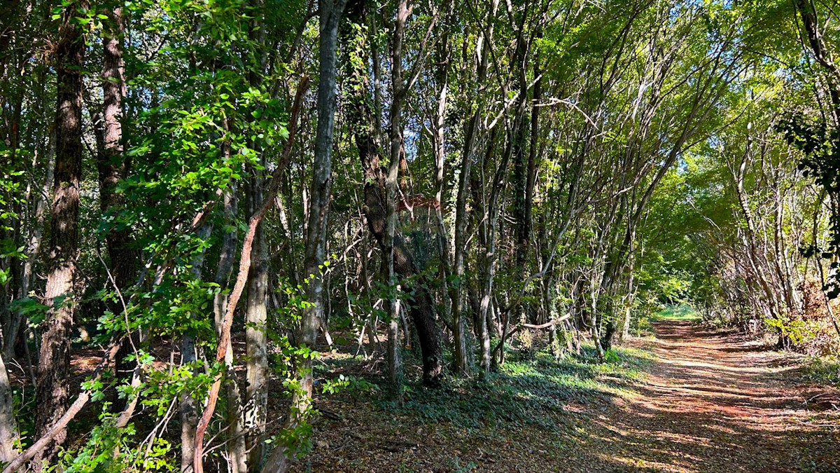 Parcela Na predaj - ISTARSKA UMAG