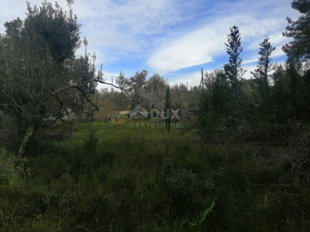 Land For sale - Zadarska Pašman - foto 5/12