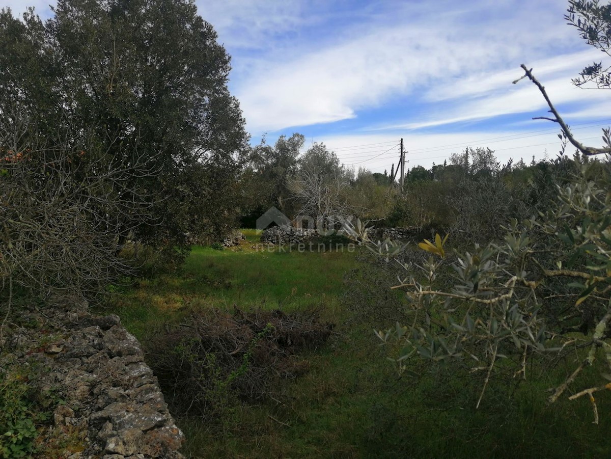 Terreno In vendita - ZADARSKA PAŠMAN