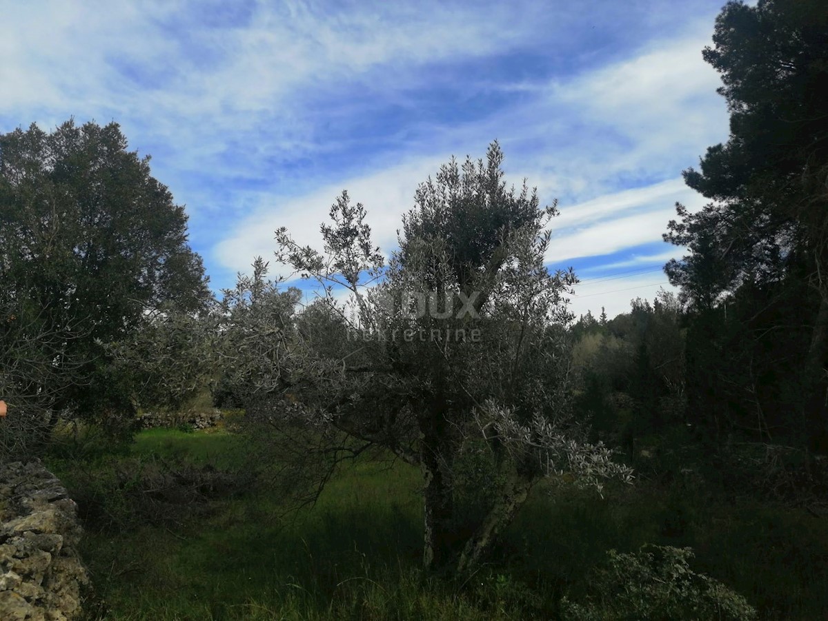 Terreno In vendita - ZADARSKA PAŠMAN