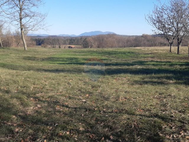Terreno in vendita 1975 m² – Beram