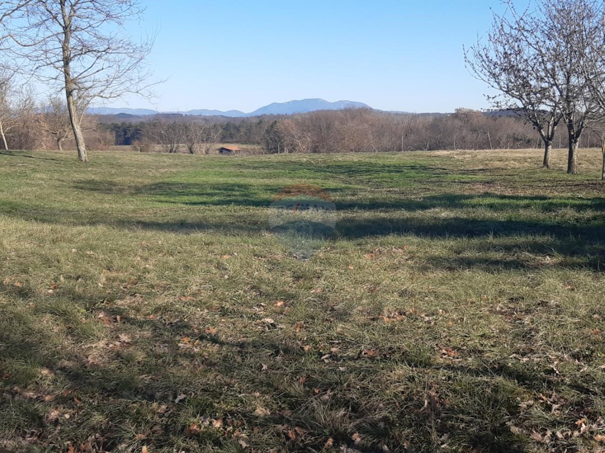 Land For sale - ISTARSKA PAZIN