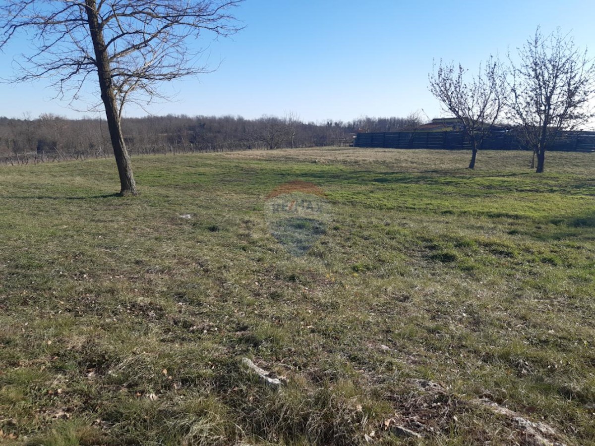 Terreno In vendita - ISTARSKA PAZIN