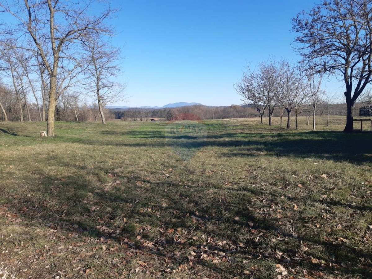 Land For sale - ISTARSKA PAZIN