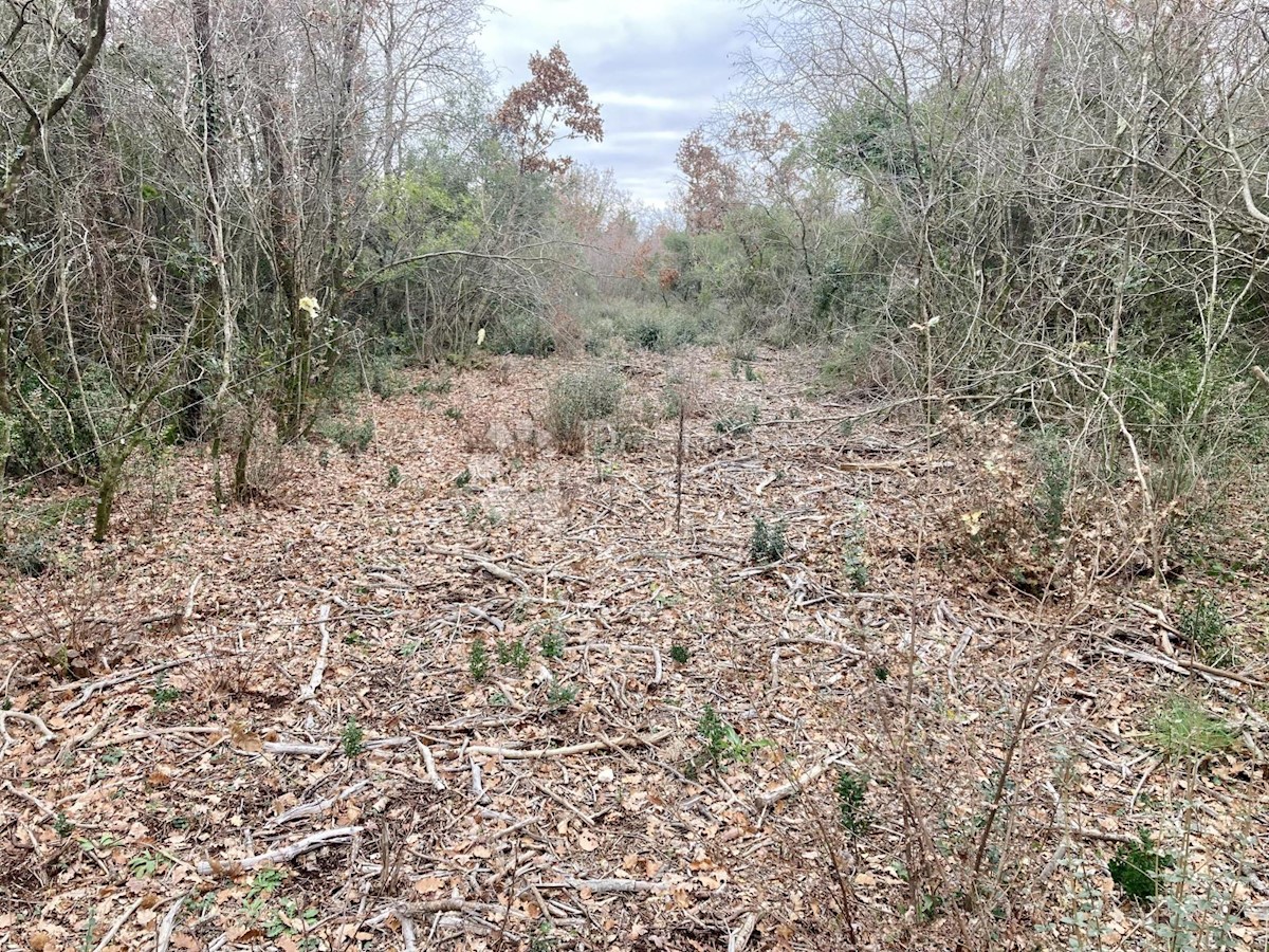 Terreno In vendita - ISTARSKA VODNJAN