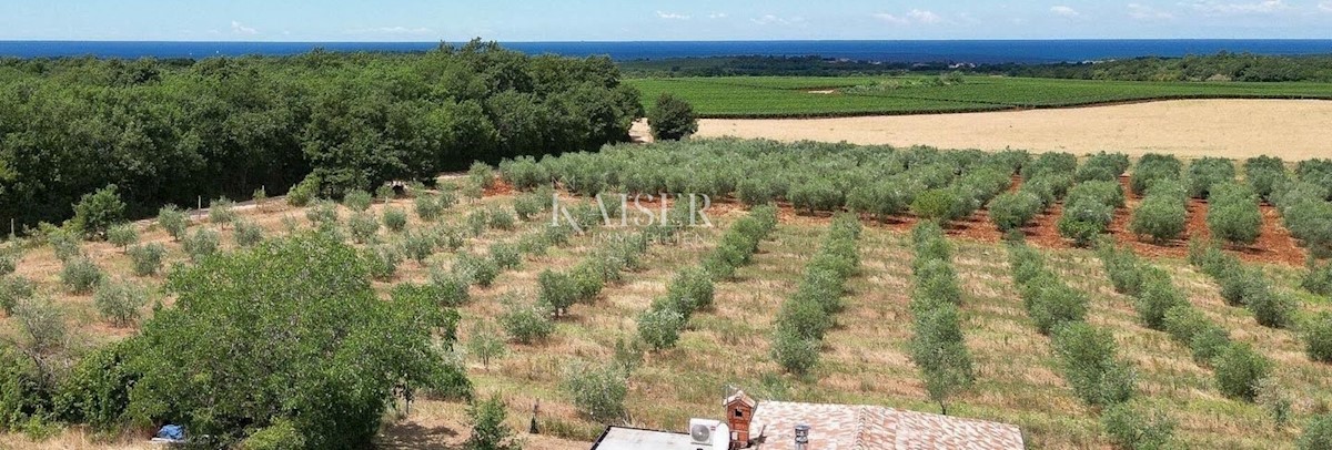 House For sale - Zadarska Novigrad - foto 1/16