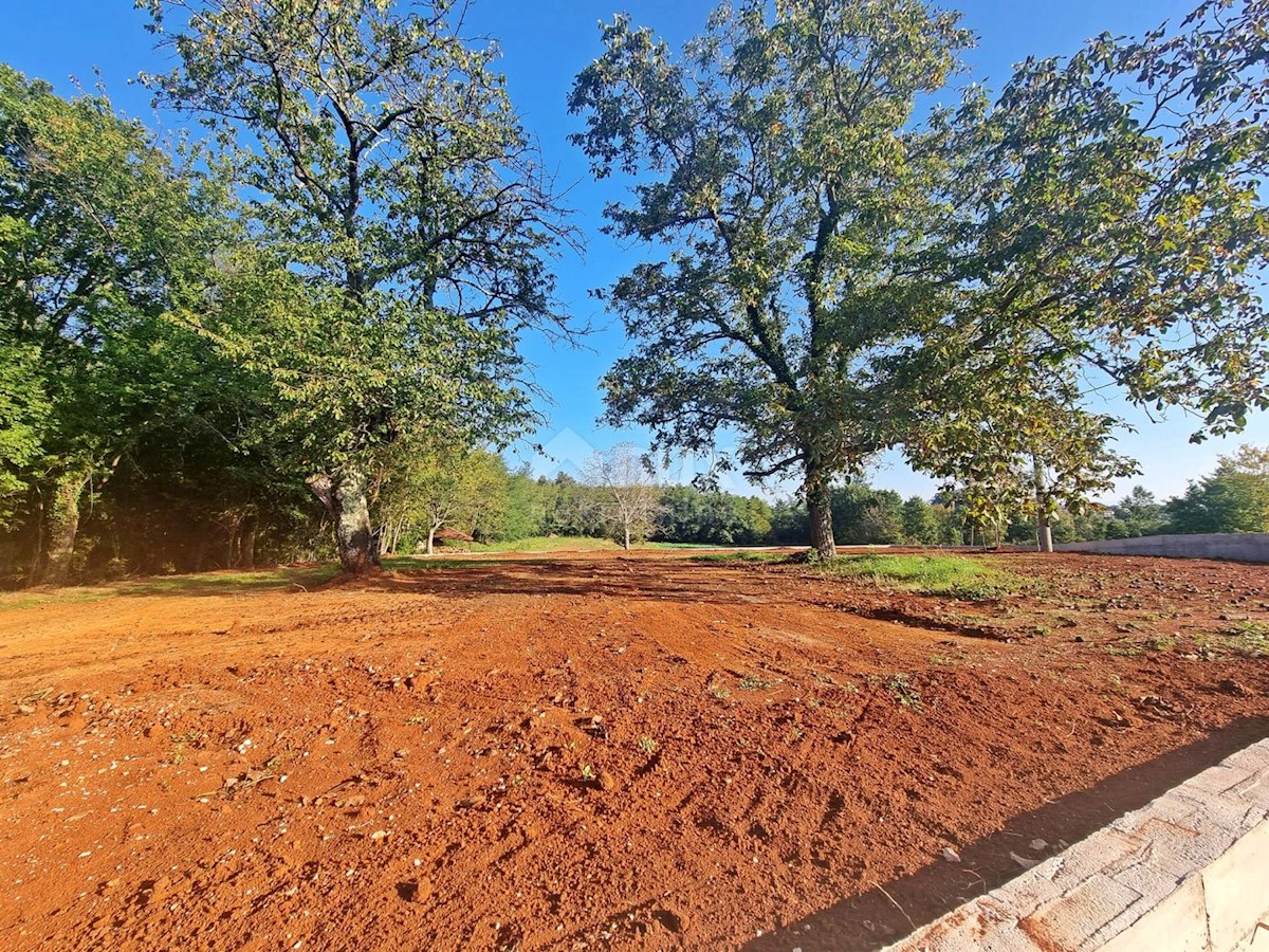 Dom Na predaj - ISTARSKA BARBAN