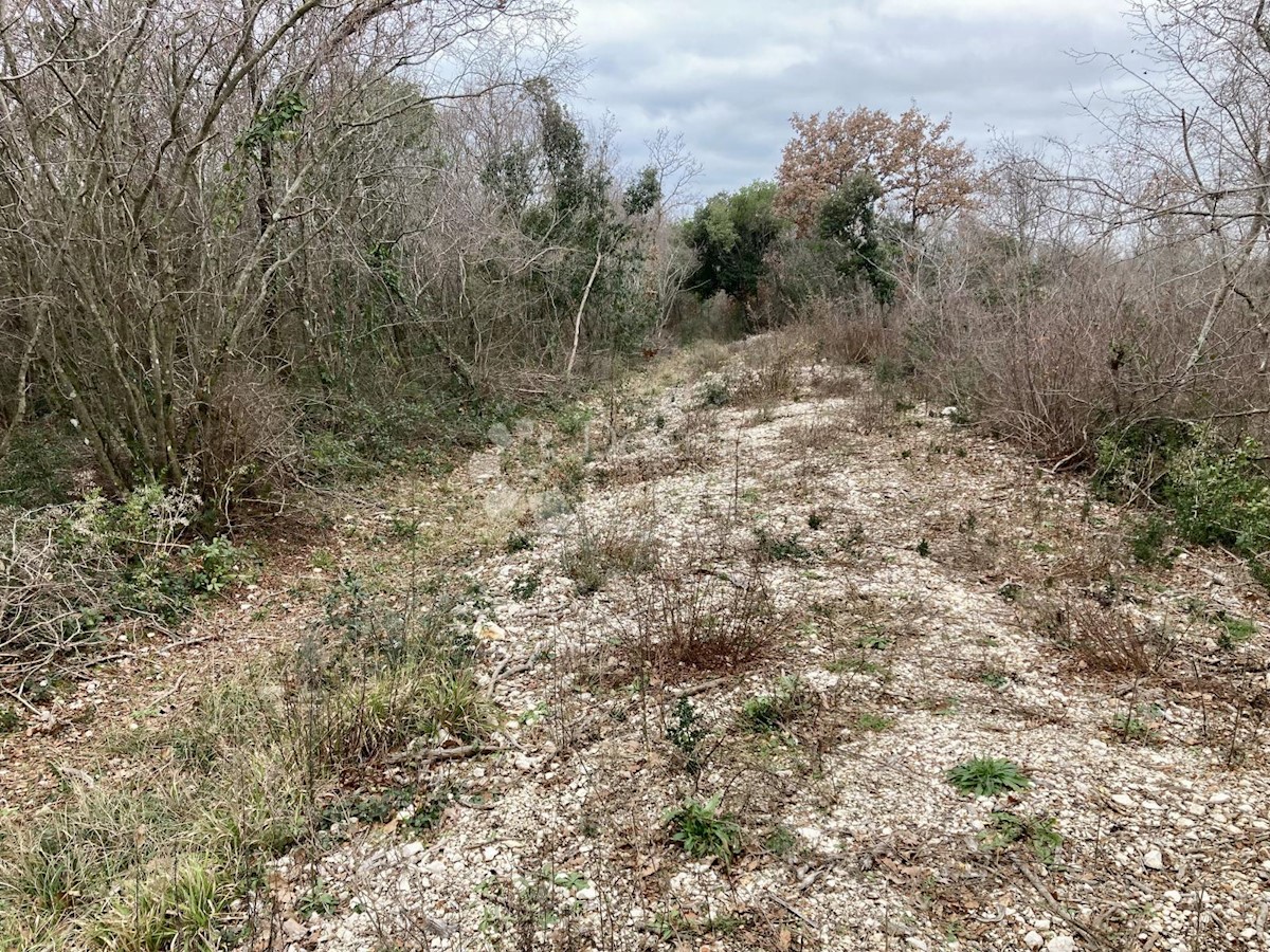 Land For sale - Istarska Vodnjan - foto 2/3