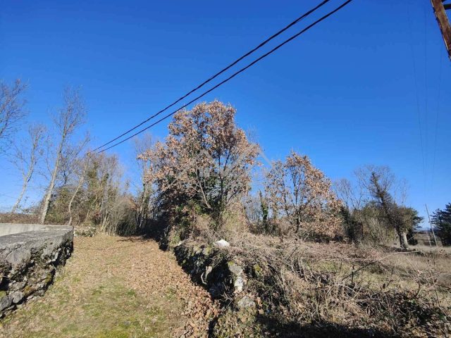 Parcela na predaj 1519 m² – Grožnjan