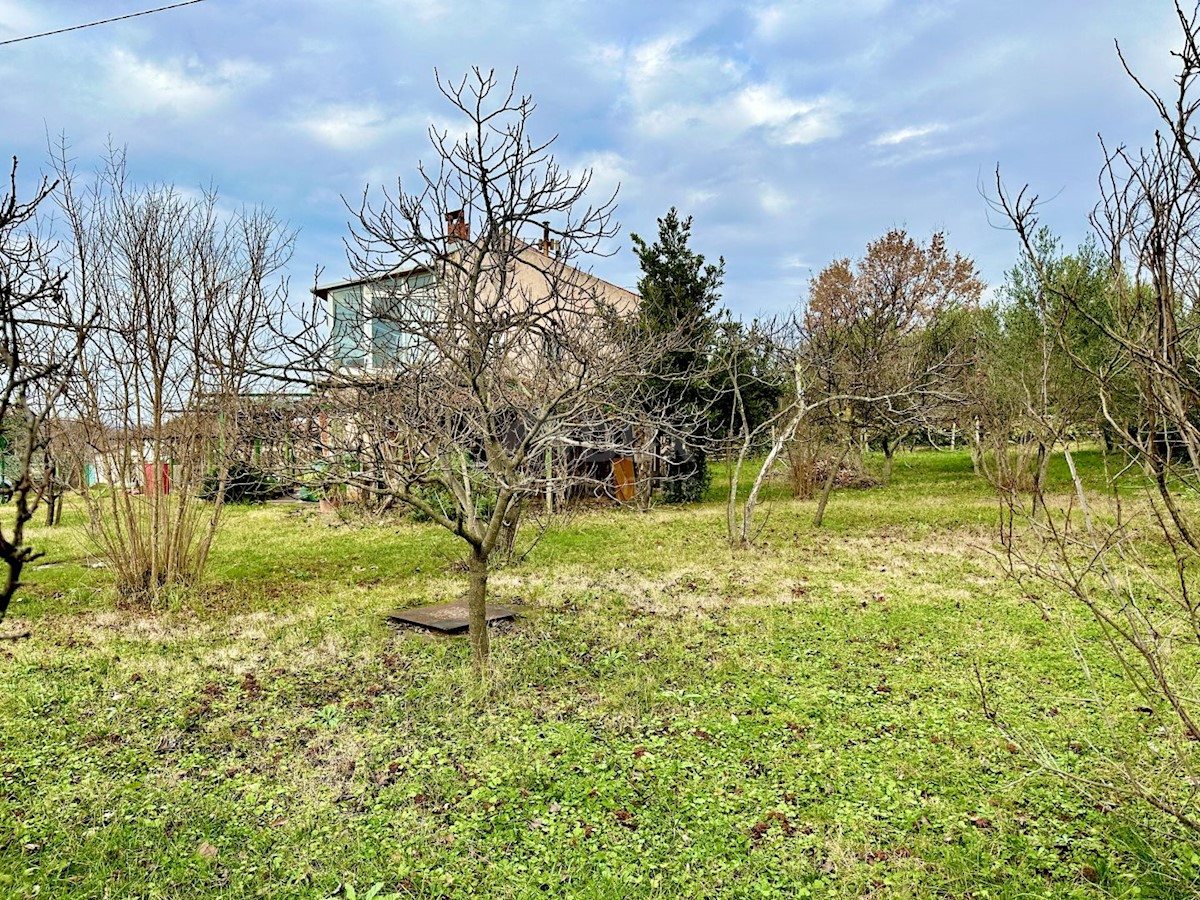 Maison À vendre - Istarska Umag - foto 5/16