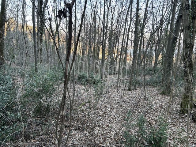 Land For sale - Primorsko-goranska Opatija - foto 4/5