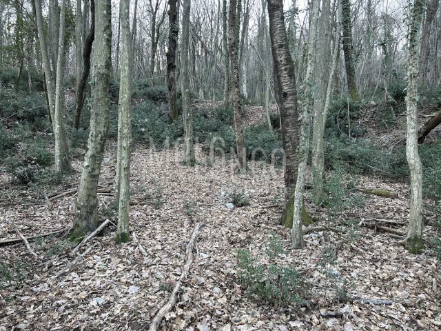Land For sale - Primorsko-goranska Opatija - foto 5/5