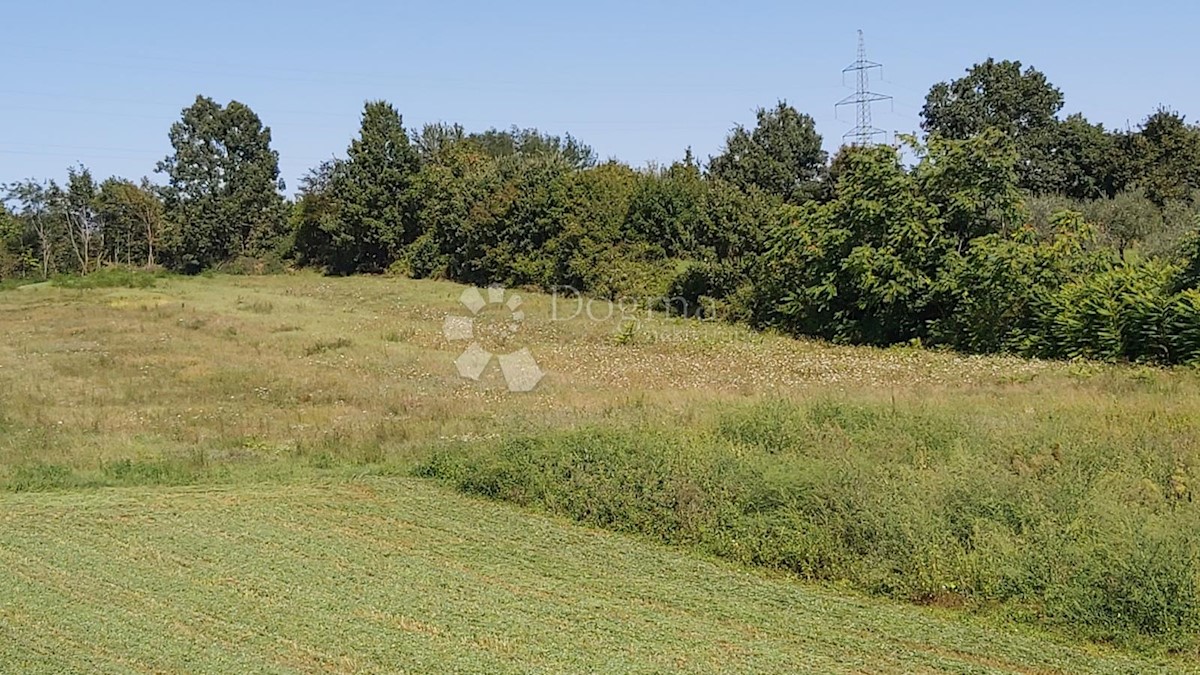 Terreno In vendita - ISTARSKA BARBAN