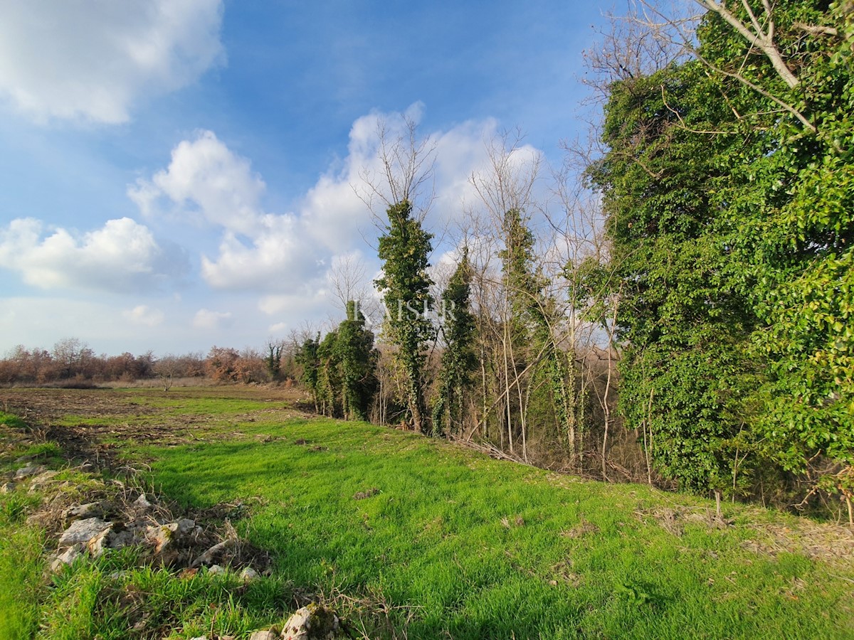 Działka Na sprzedaż - ISTARSKA VIŠNJAN