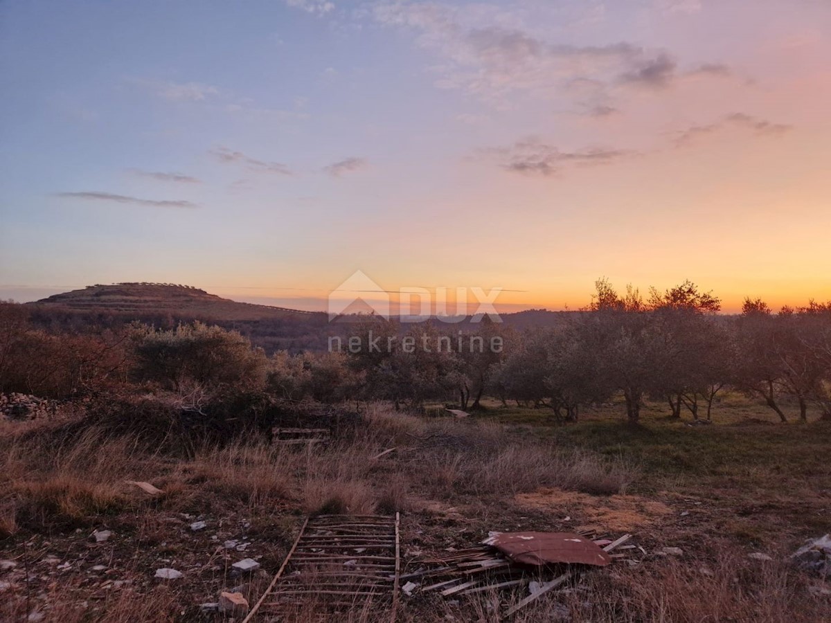 Kuća Na prodaju - ISTARSKA BUJE