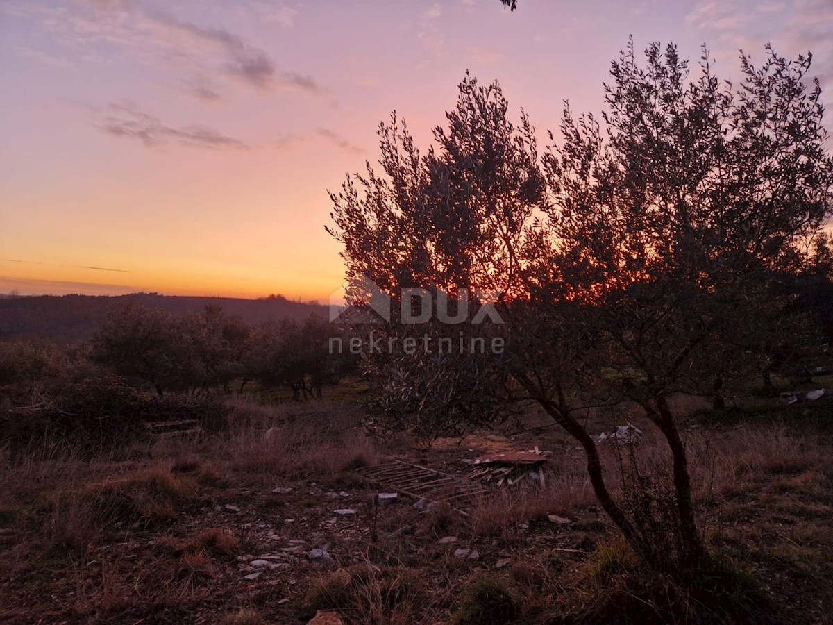 Kuća Na prodaju - ISTARSKA BUJE