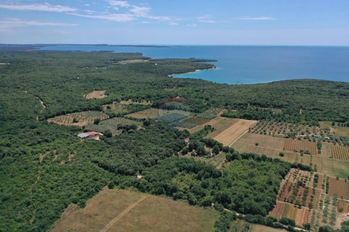 Grundstück Zu verkaufen - Istarska Rovinj - foto 3/3