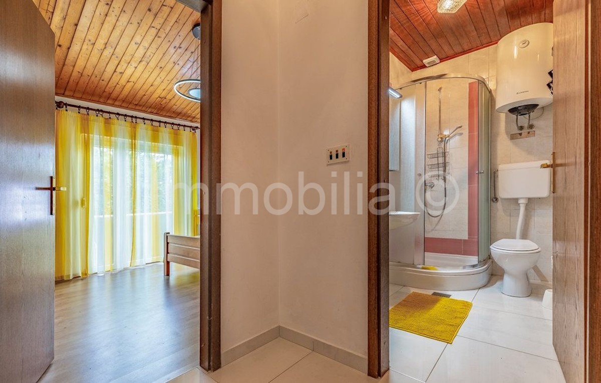 House For sale - ISTARSKA MEDULIN