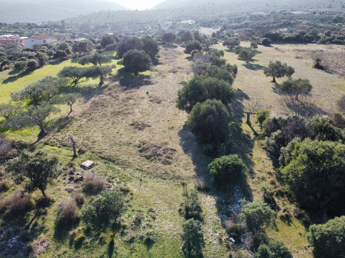 Land For sale - ZADARSKA SVETI FILIP I JAKOV