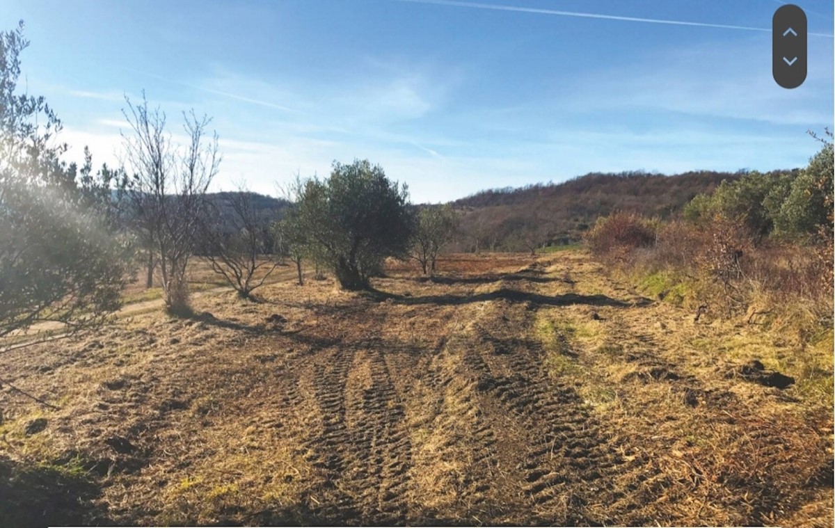 Land For sale - ISTARSKA GROŽNJAN