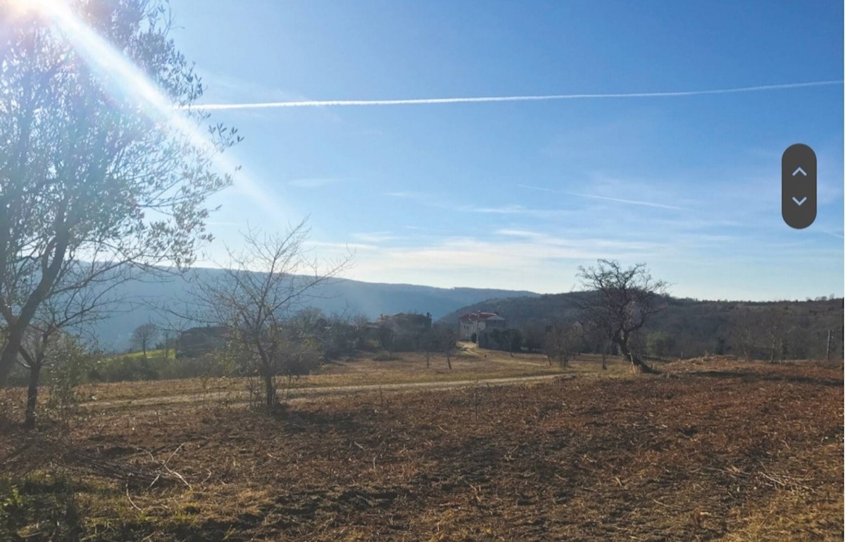 Land For sale - ISTARSKA GROŽNJAN