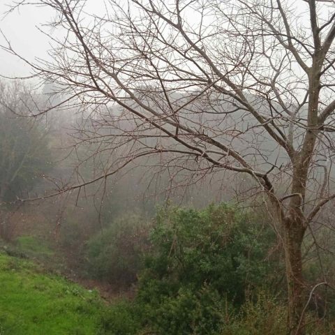 Land For sale - Istarska Pula - foto 2/3