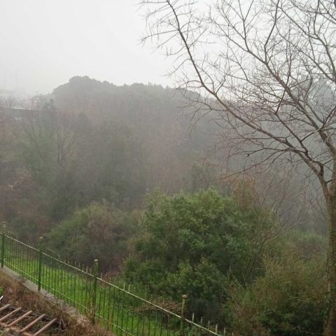 Land For sale - Istarska Pula - foto 3/3