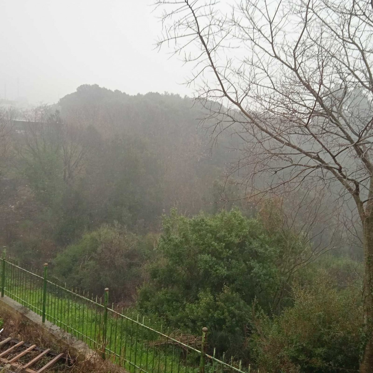 Land For sale - ISTARSKA Pula