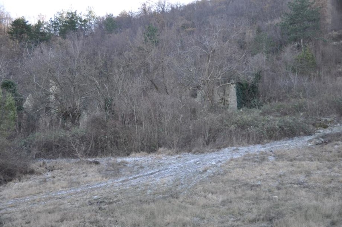 Terrain À vendre - ISTARSKA BUZET