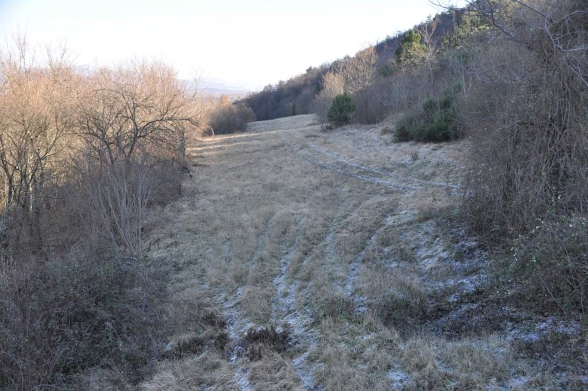Terrain À vendre - ISTARSKA BUZET