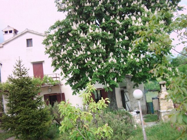 Kuća Na prodaju - Istarska Lupoglav - foto 2/29