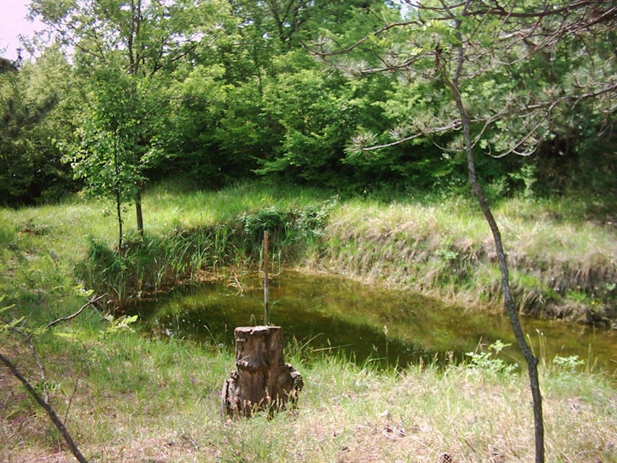 Dom Na predaj - ISTARSKA LUPOGLAV