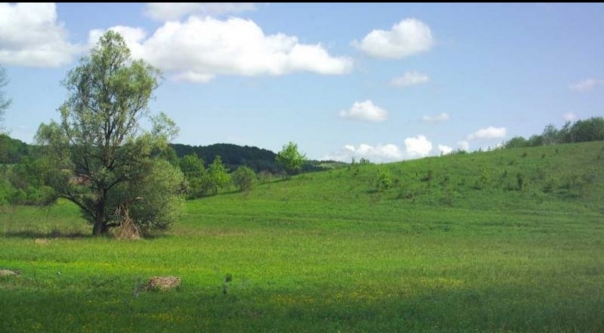 Dom Na predaj - ISTARSKA LUPOGLAV