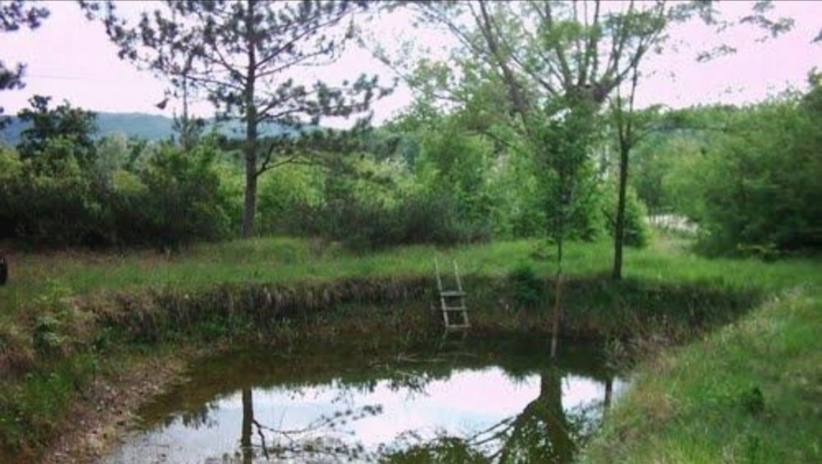 Dom Na predaj - ISTARSKA LUPOGLAV