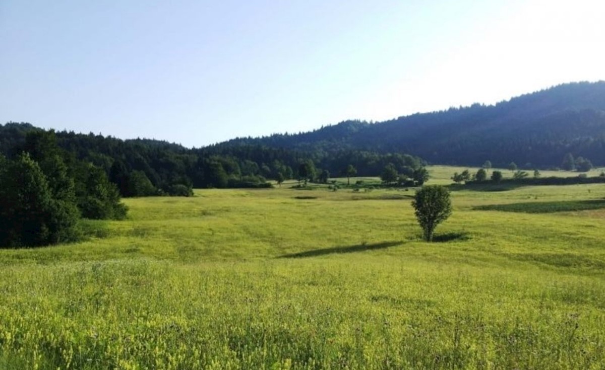 Haus Zu verkaufen - ISTARSKA LUPOGLAV