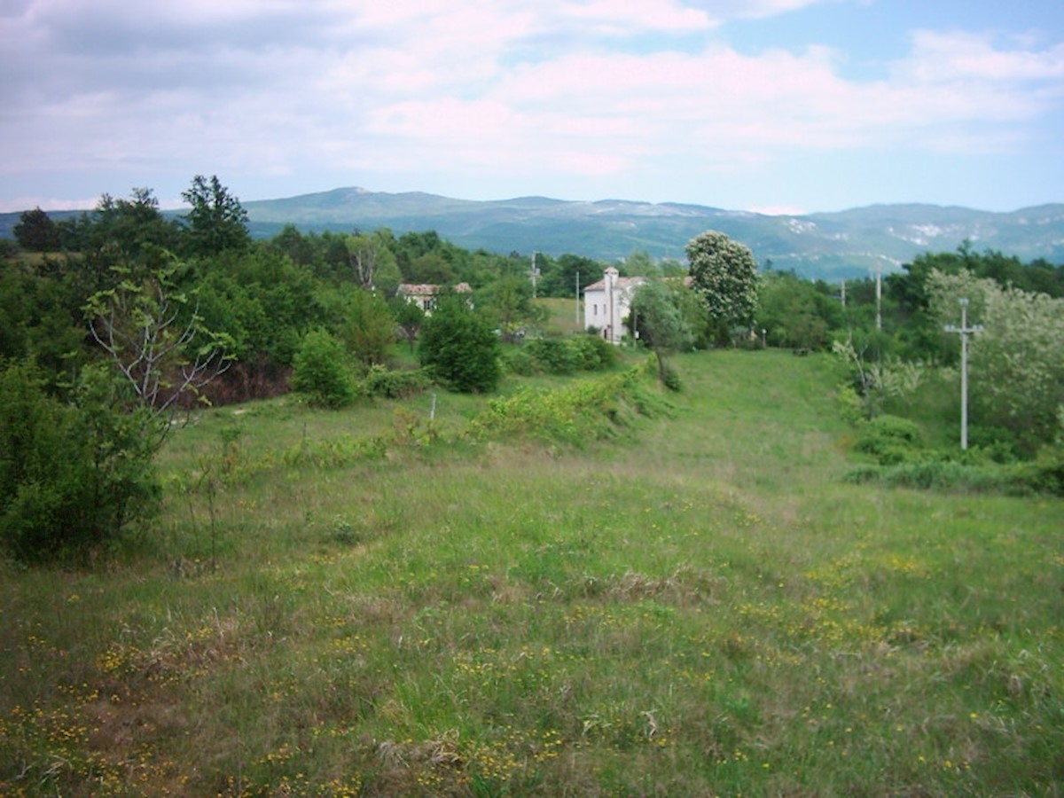 Dom Na predaj - ISTARSKA LUPOGLAV