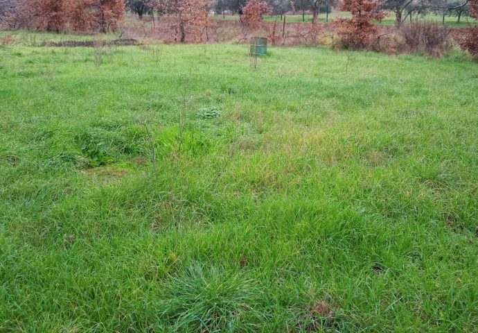 Grundstück zu verkaufen 2741 m² – Pula